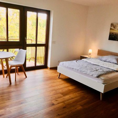 Modernes Studio Im Herzen Von Neustadt: Pfalzliebe Нойштадт-ан-дер-Вайнштрасе Екстер'єр фото