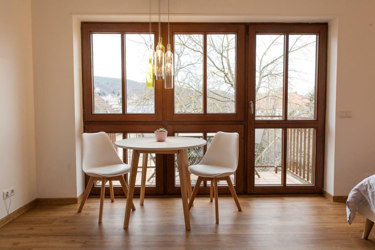Modernes Studio Im Herzen Von Neustadt: Pfalzliebe Нойштадт-ан-дер-Вайнштрасе Екстер'єр фото